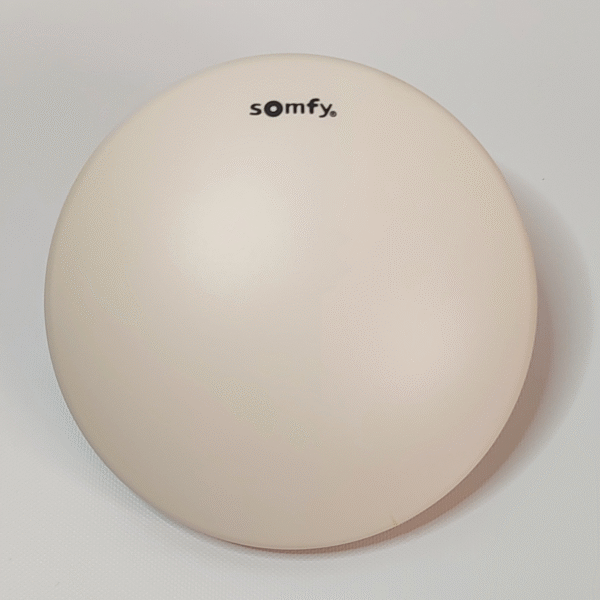 Interfaz Somfy Central Inteo Station
