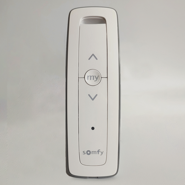 Control remoto Somfy Situo 1